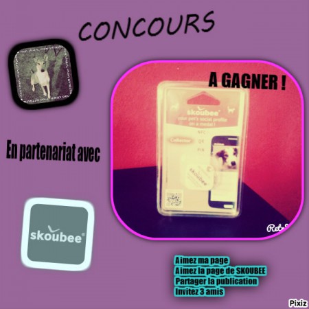 CONCOURS DU 27 AU 3 OCTOBRE 2015