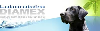 Laboratoire Diamex