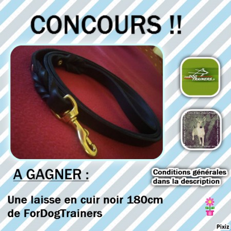 CONCOURS DU 30 DECEMBRE AU 3 JANVIER !