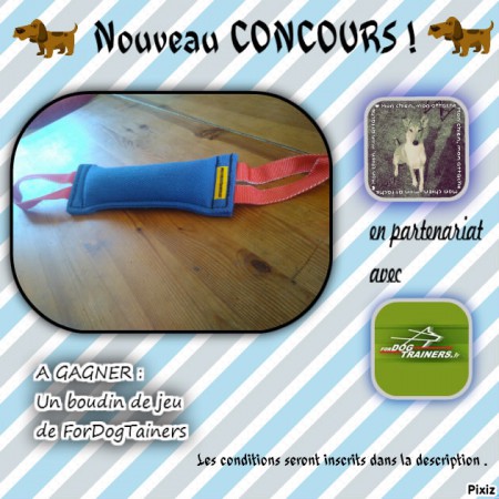CONCOURS DU 16 AU 22 FEVRIER 2016