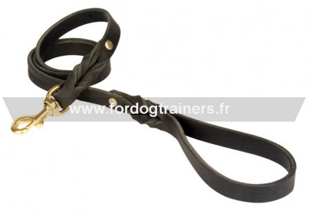 LAISSE DE FORDOGTRAINERS