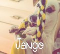 /album/les-amis-de-mon-chien-mon-attache/jango-jpg/
